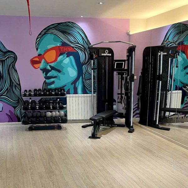 Active fitness Vračar