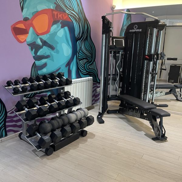 Active fitness Vračar
