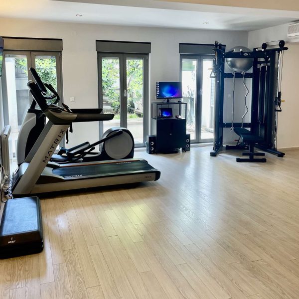 Active fitness Vračar